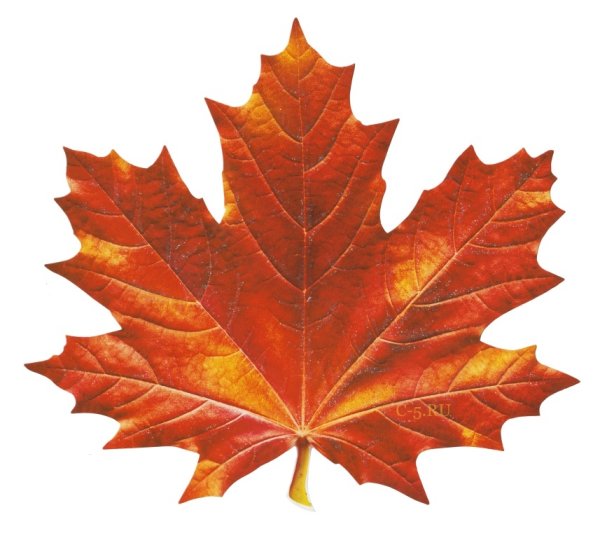 Кленовый лист 10х10