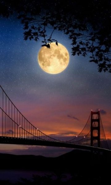 Ночной пейзаж с мостом