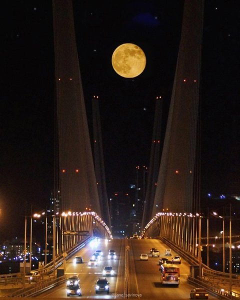 Золотой мост Владивосток ночью