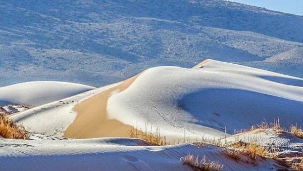 Снег в пустыне сахара 2021