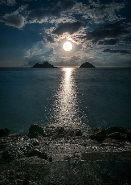 Красивая ночь