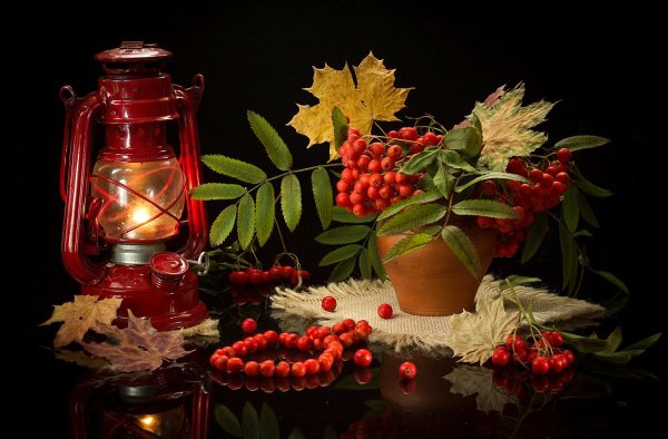 Шруб (Беляева) Татьяна Фотонатюрморты