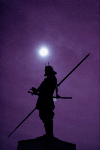 Самурай сохры