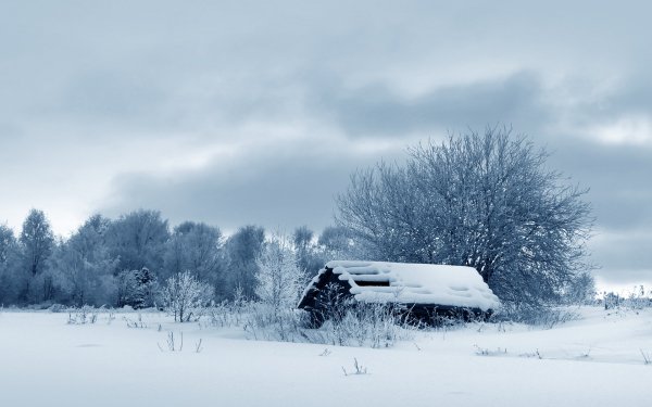 Хмурая зима