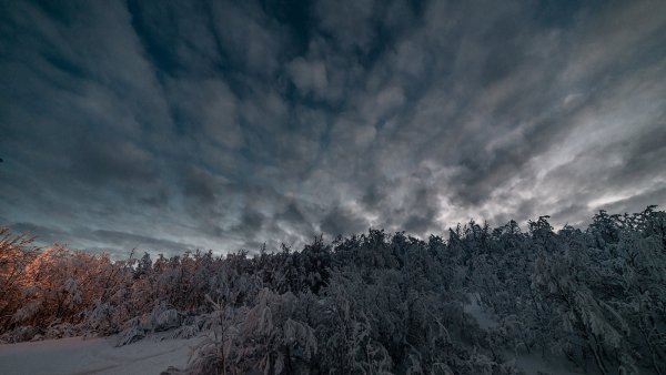 Суровая зима