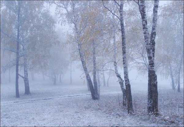 Моросящий снег