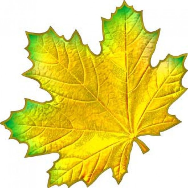 Кленовый лист 20х20