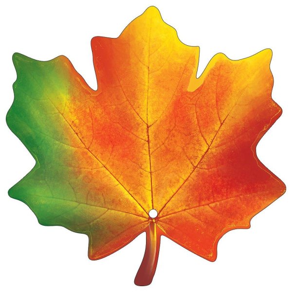 Кленовый лист цветной
