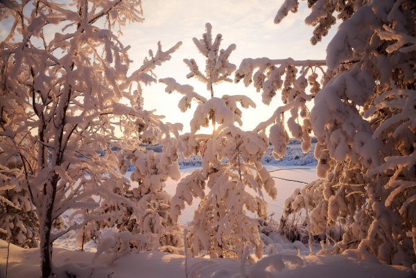 Зима пейзаж