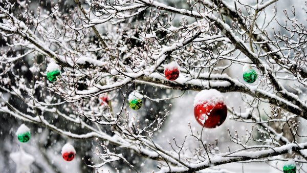 Зима новый год