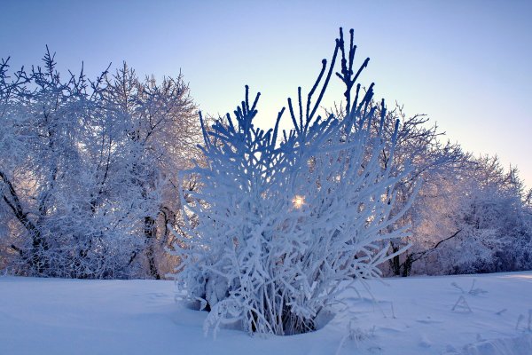 Декабрь природа