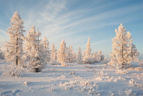 Зимний пейзаж