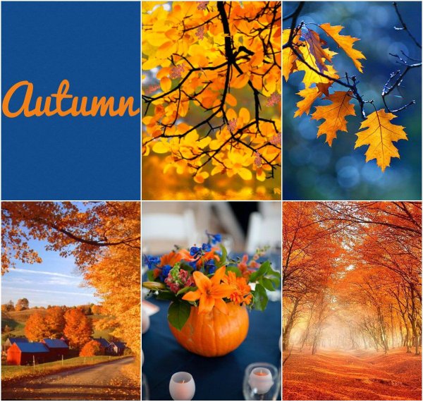 Позитивного осеннего дня