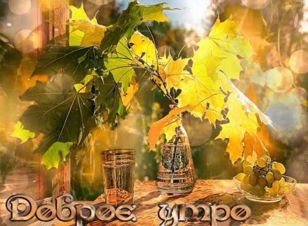 С добрым осенним утром