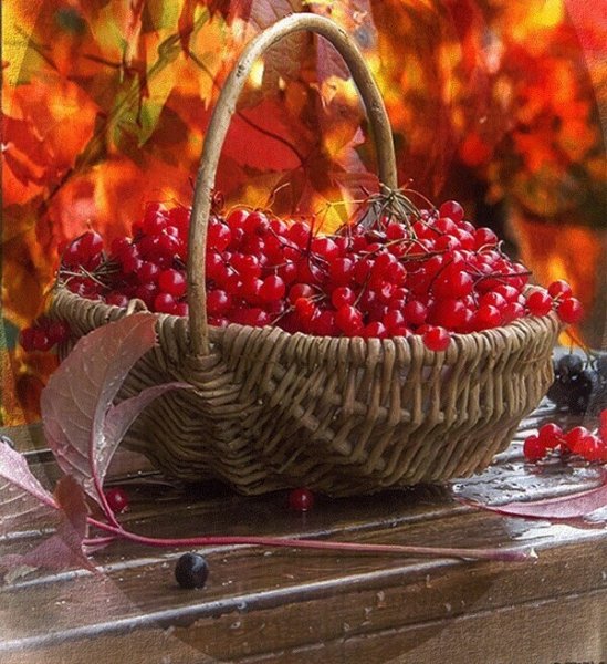 Открытки с добрым утром осенние