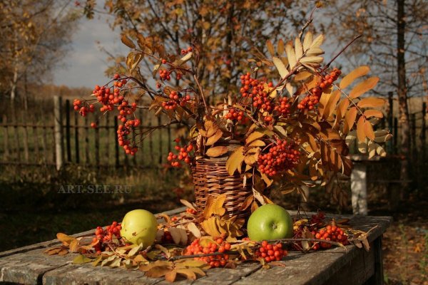 Осенний сад