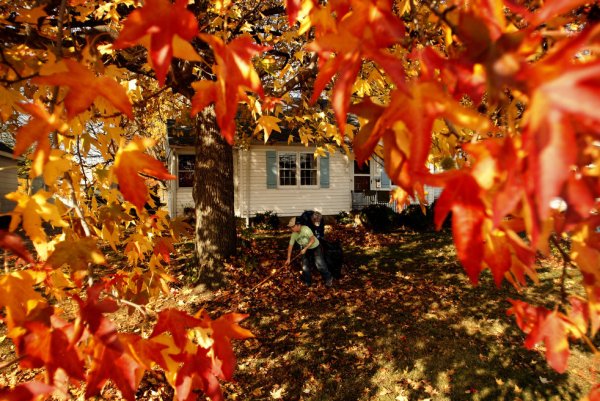 Осень листопад в саду