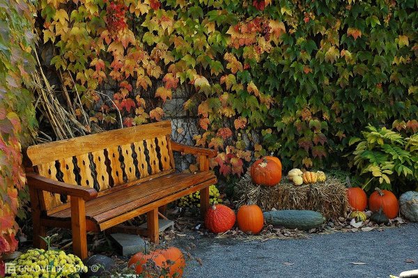 Осень в саду