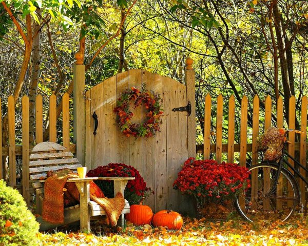 Осенний сад