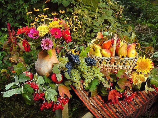 Осенний урожай в саду