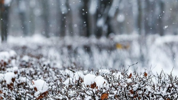 Небольшой снегопад