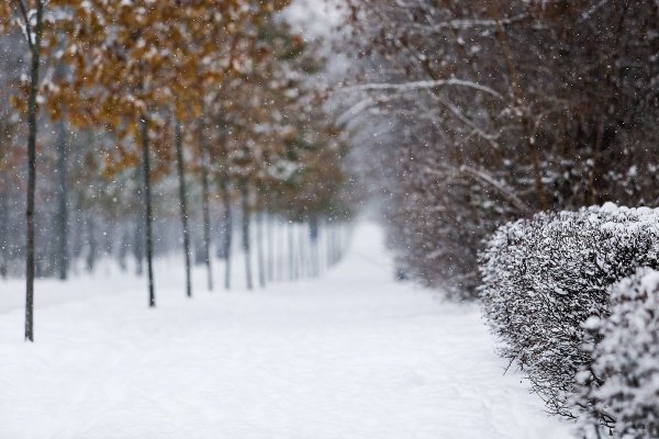 Пасмурно небольшой снег