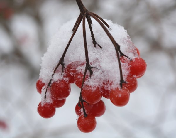 Небольшой снег небольшой снег