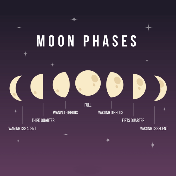 Фазы Луны phases of the Moon
