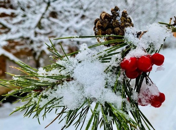 Небольшой снег небольшой снег