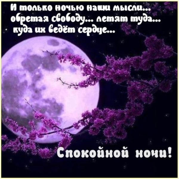 Спокойной ночи Венера