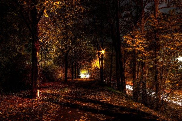 Осенний парк вечером