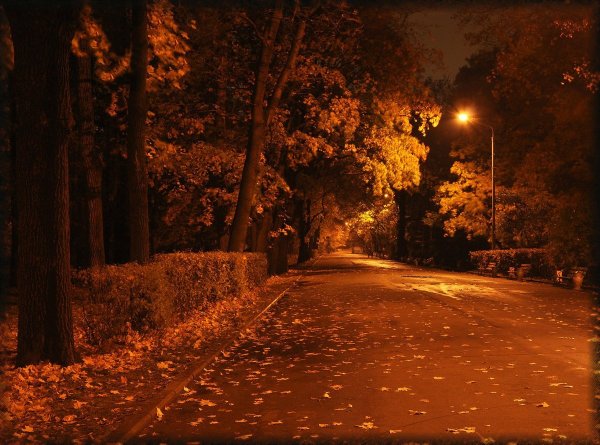 Осенний парк вечером