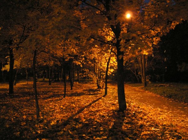 Осень ночь