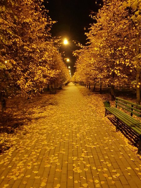 Осенний парк