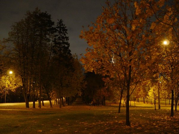 Золотая осень ночью