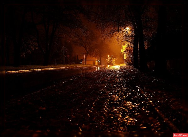 Осень дождь вечер