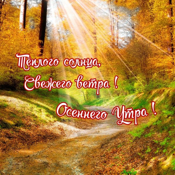 Доброе чудесное осеннее утро