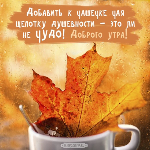 Доброе осеннее утро