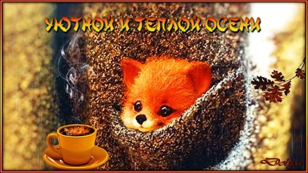 Доброе утро осень лиса