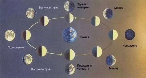 Фазы Луны