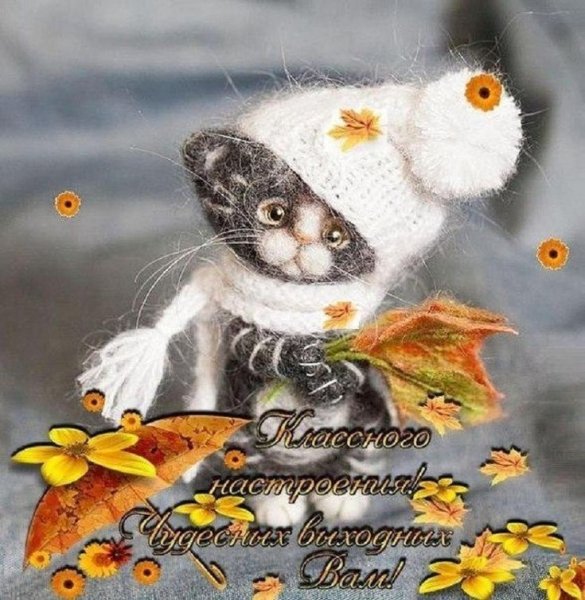 Открытки хороших выходных и отличного настроения