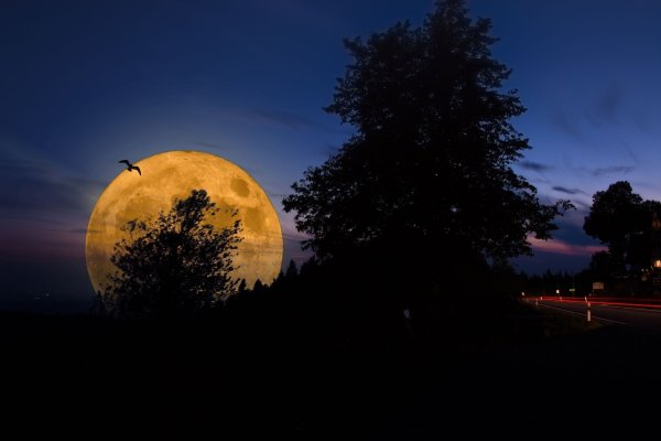 Красивая Луна
