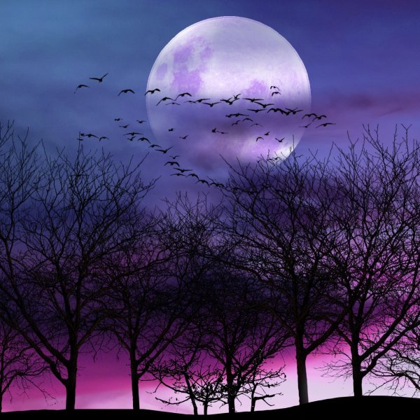 Фиолетовое небо с луной