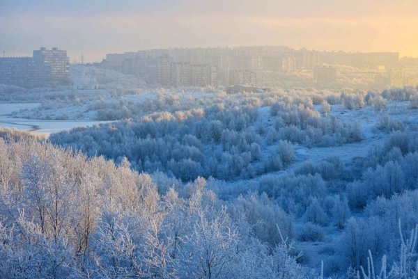 Снежный Мурманск