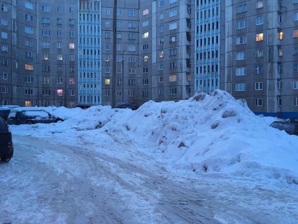 Снежный Мурманск