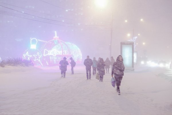 Метель в Мурманской области
