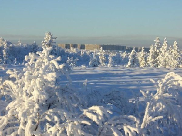 Североморск природа зимой