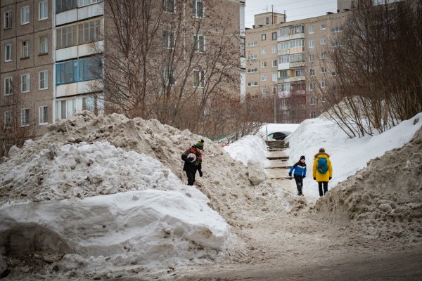 Сугробы в Мурманске