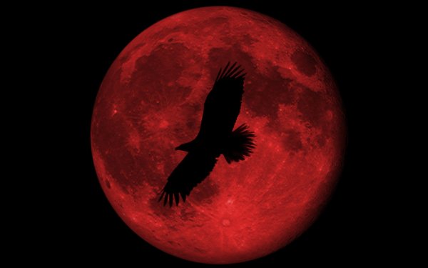 Кровавая Луна