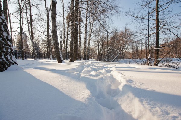 Хрустящий снег